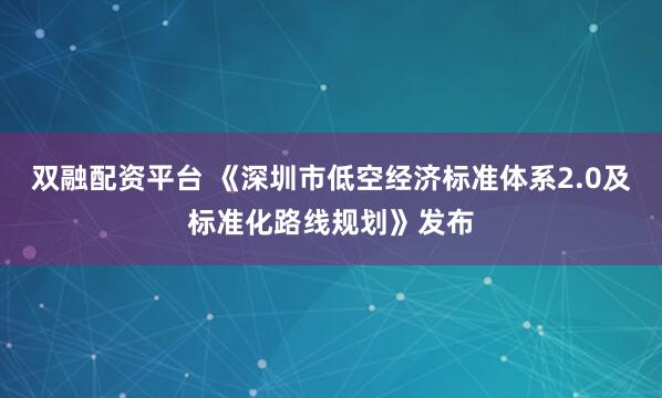 双融配资平台 《深圳市低空经济标准体系2.0及标准化路线规划》发布